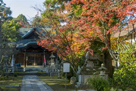  Shin-Enuma Shrine: Ein spiritueller Rückzugsort mit mystischer Atmosphäre!