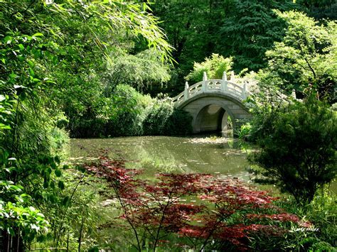 Das Hongxing-Park - Eine Oase der Ruhe mitten im geschäftigen Siping!