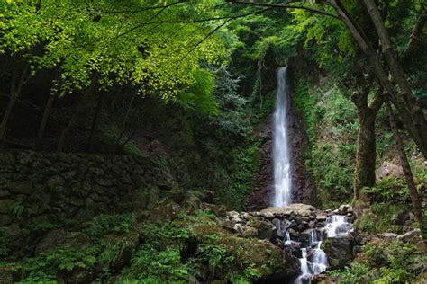  Der Yoro Falls: Ein tosendes Naturspektakel am Rande des Pazifiks!