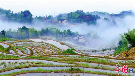 Die Yunhe-Terrassen – Ein grünes Meisterwerk der chinesischen Landwirtschaft!